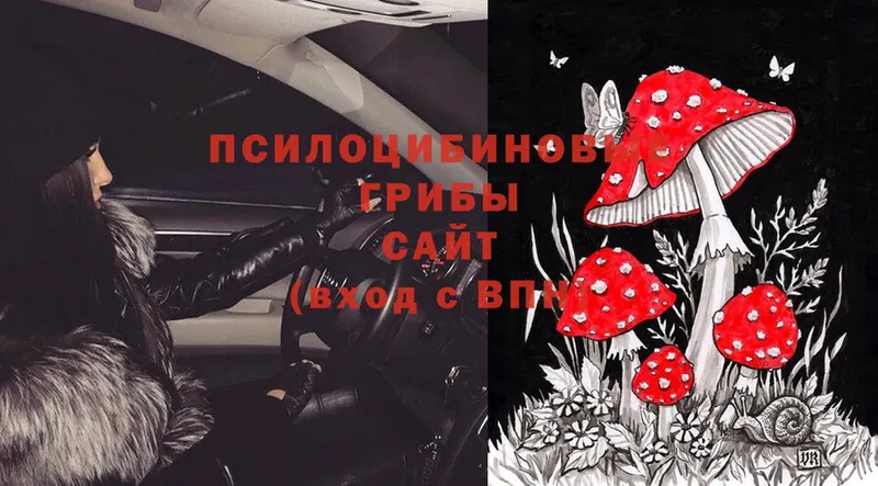 Псилоцибиновые грибы Magic Shrooms  Хабаровск 